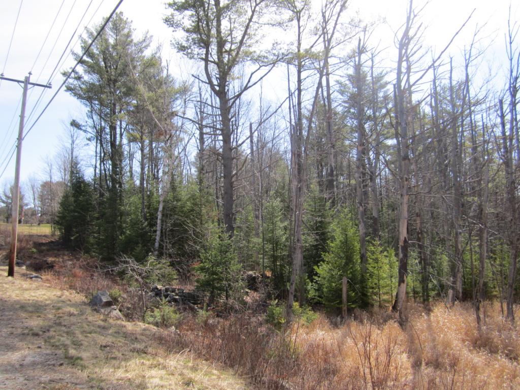 King Hill Road, New London, NH 03257