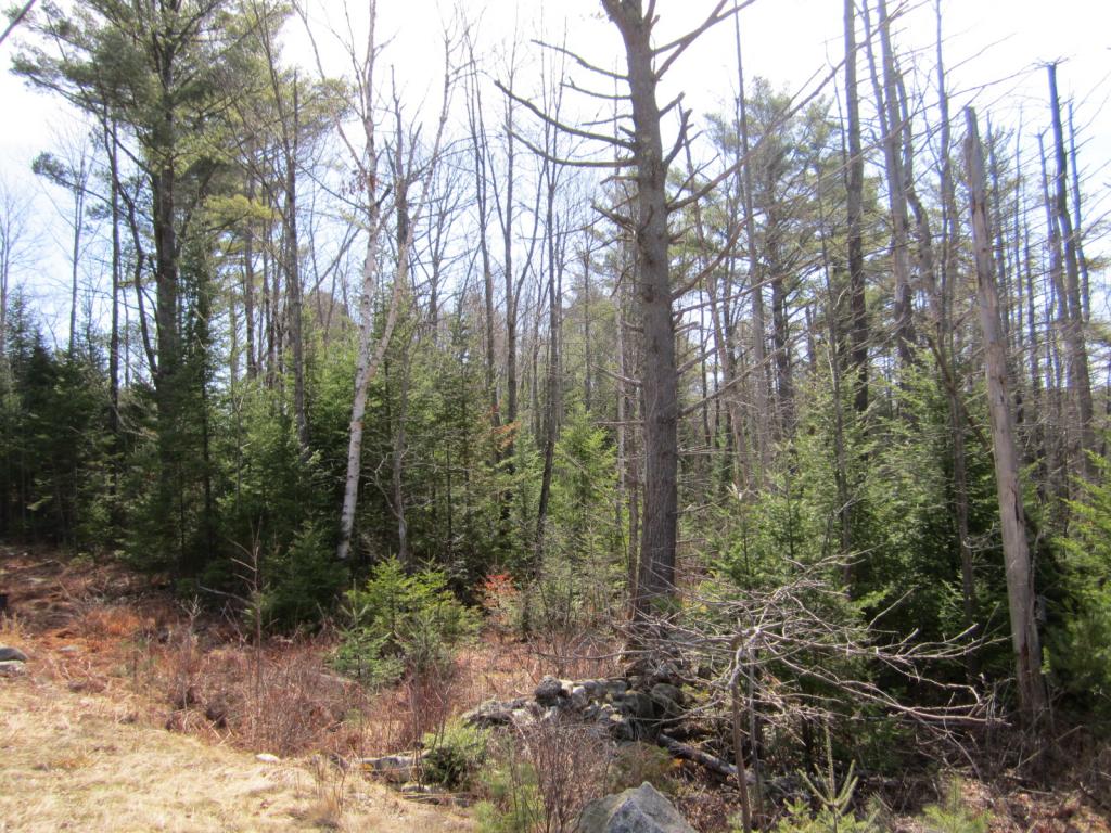 King Hill Road, New London, NH 03257