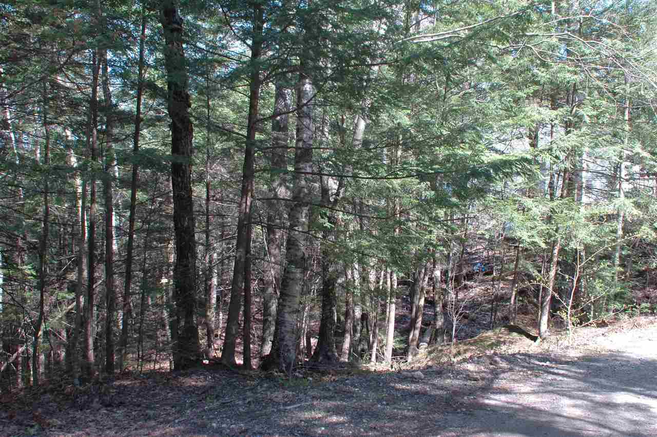 Map116/Lot Smith Street, Northwood, NH 03261