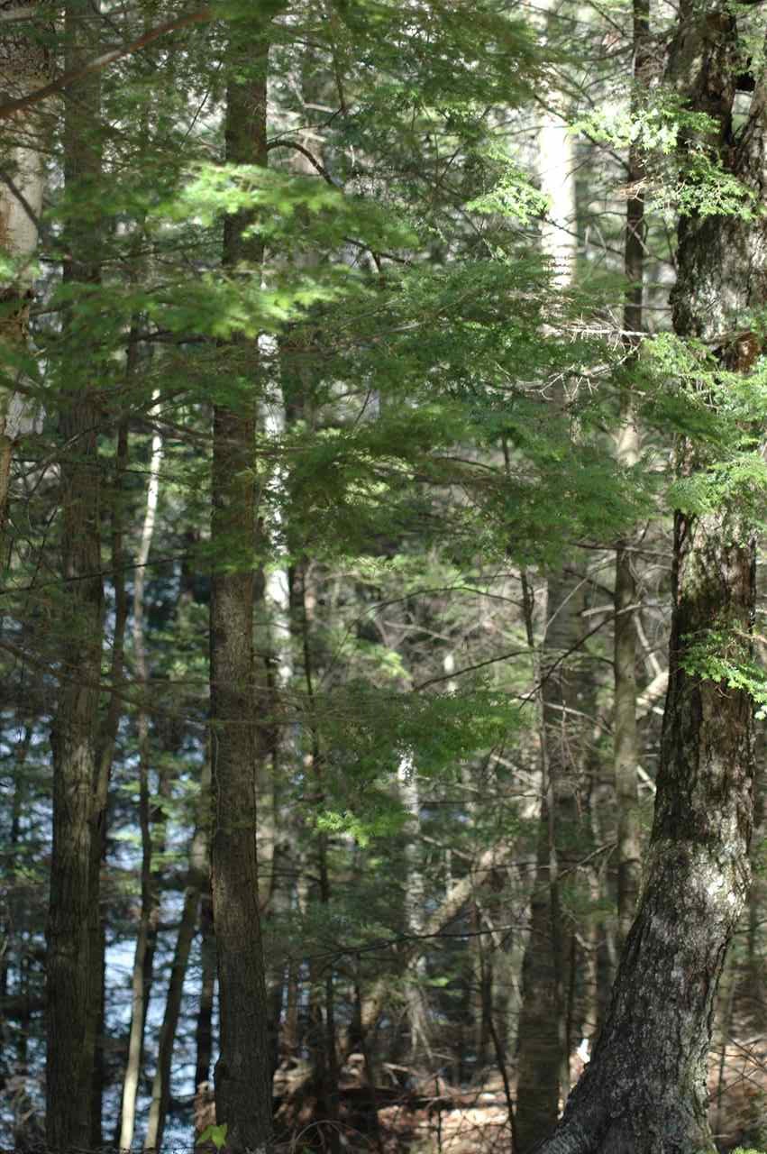 Map116/Lot Smith Street, Northwood, NH 03261