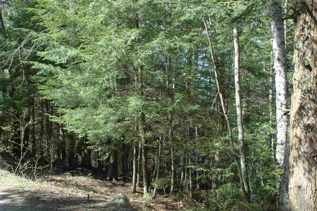Map116/Lot Smith Street, Northwood, NH 03261