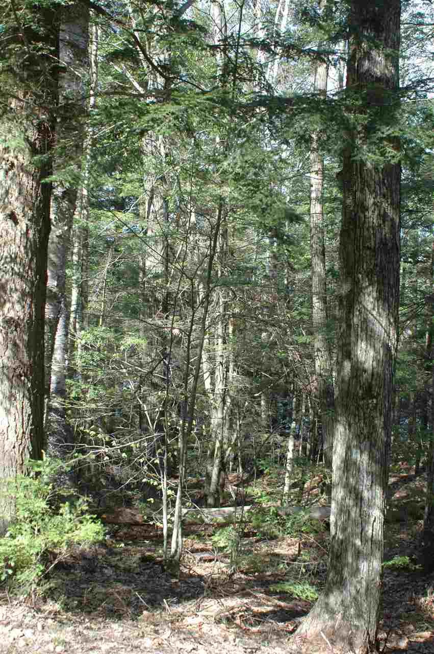 Map116/Lot Smith Street, Northwood, NH 03261