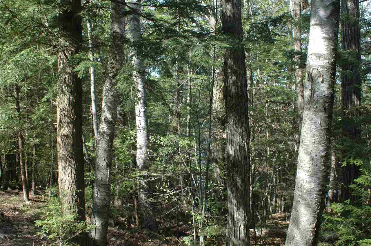 Map116/Lot Smith Street, Northwood, NH 03261