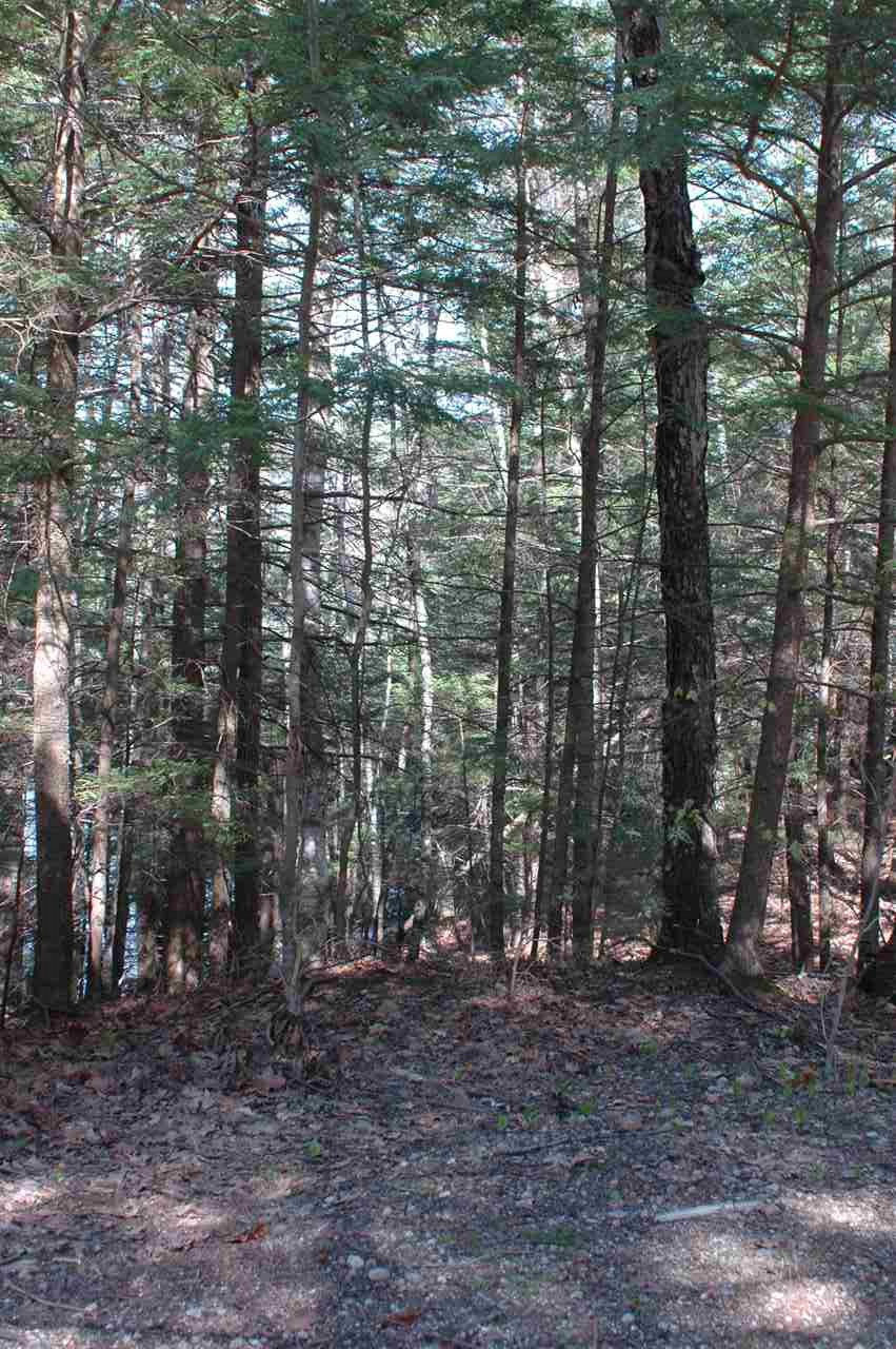 Map116/Lot Smith Street, Northwood, NH 03261