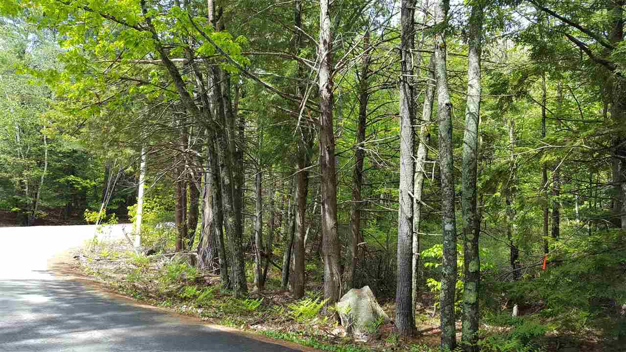 Blakes Hill Lot 33-1 Road, Northwood, NH 03261
