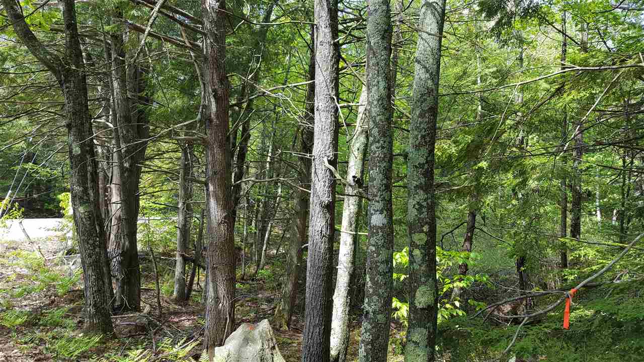 Blakes Hill Lot 33-1 Road, Northwood, NH 03261
