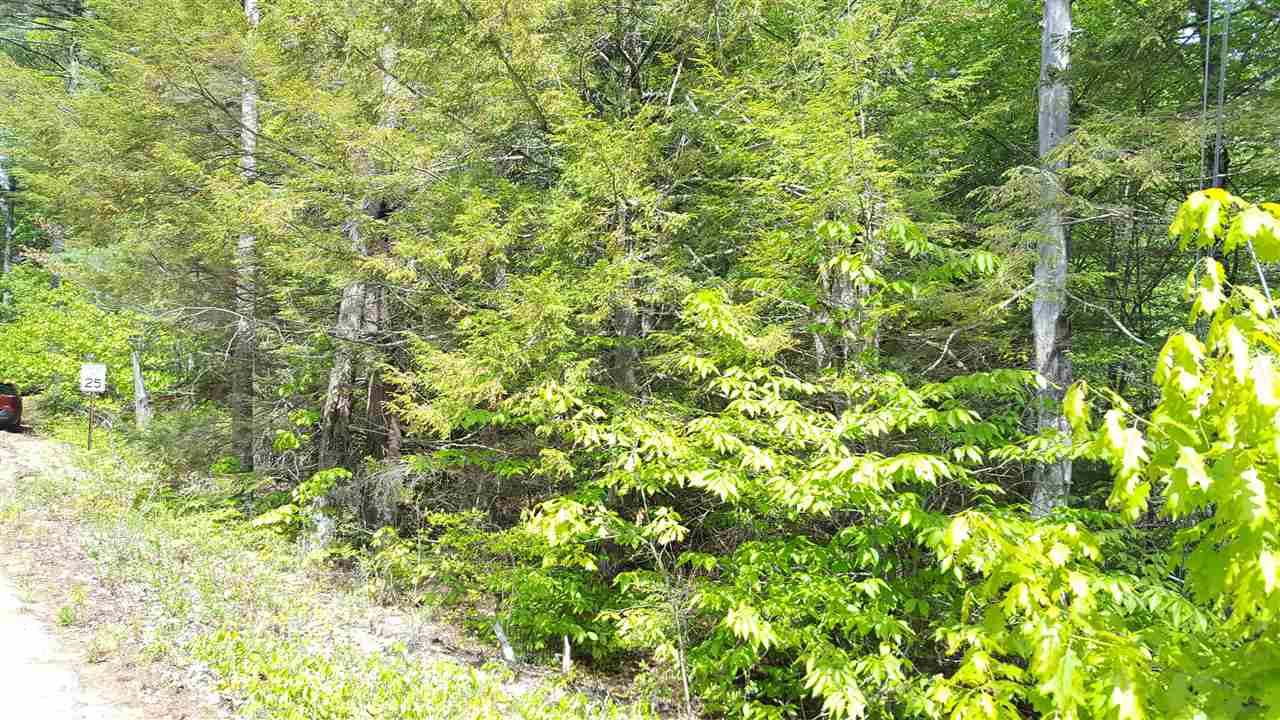 Blakes Hill Lot 33-1 Road, Northwood, NH 03261