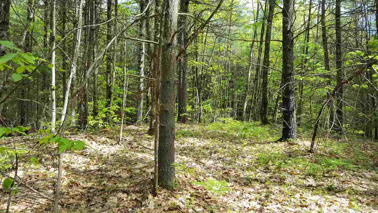 Blakes Hill Lot 33-1 Road, Northwood, NH 03261
