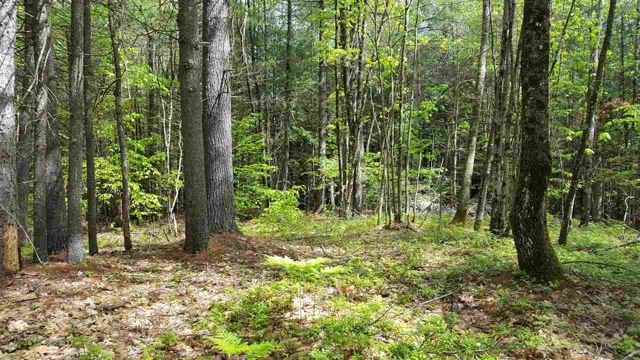 Blakes Hill Lot 33-1 Road, Northwood, NH 03261