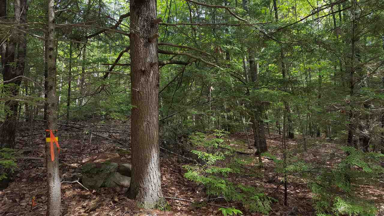 Blakes Hill Lot 33-1 Road, Northwood, NH 03261