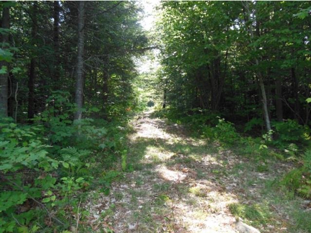 Lot 2-30 Off US Route 118, Rumney, NH 03266