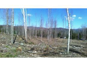 0 Route 118, Dorchester Road, Groton, NH 03266