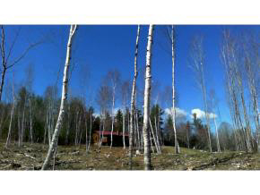 0 Route 118, Dorchester Road, Groton, NH 03266
