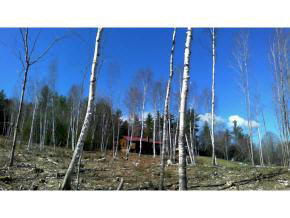 0 Route 118, Dorchester Road, Groton, NH 03266