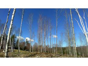 0 Route 118, Dorchester Road, Groton, NH 03266