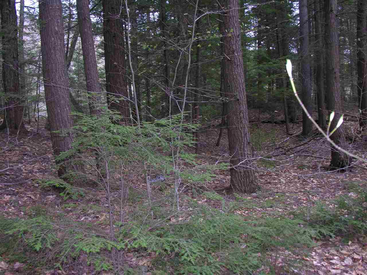 00 Halls Brook Road, Rumney, NH 03266