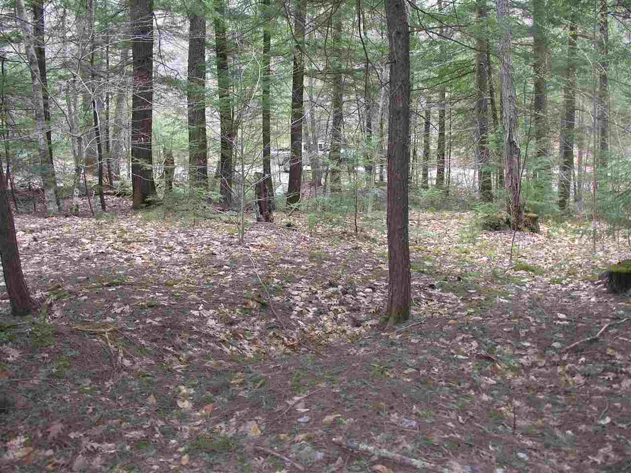 00 Halls Brook Road, Rumney, NH 03266