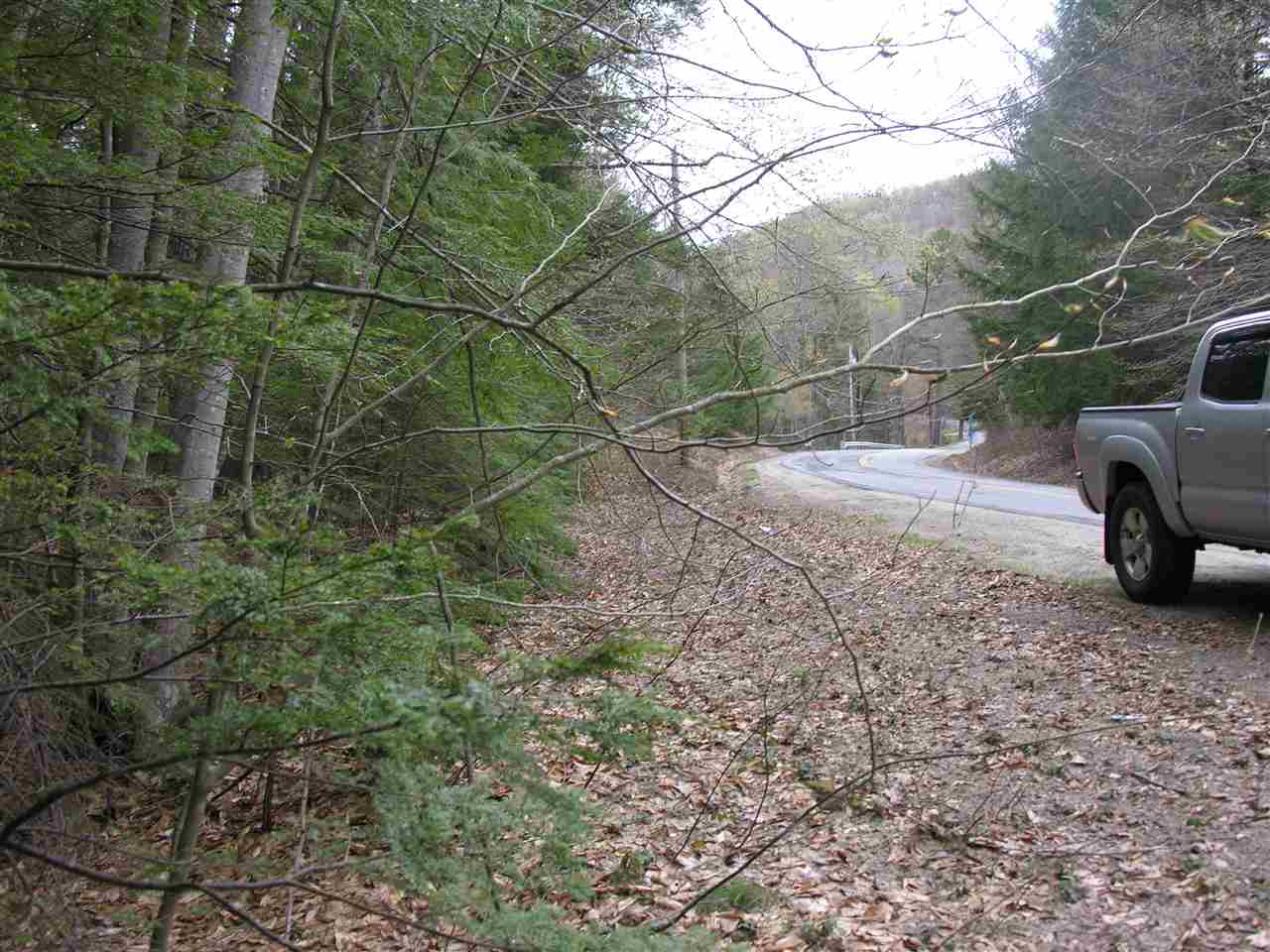 00 Halls Brook Road, Rumney, NH 03266