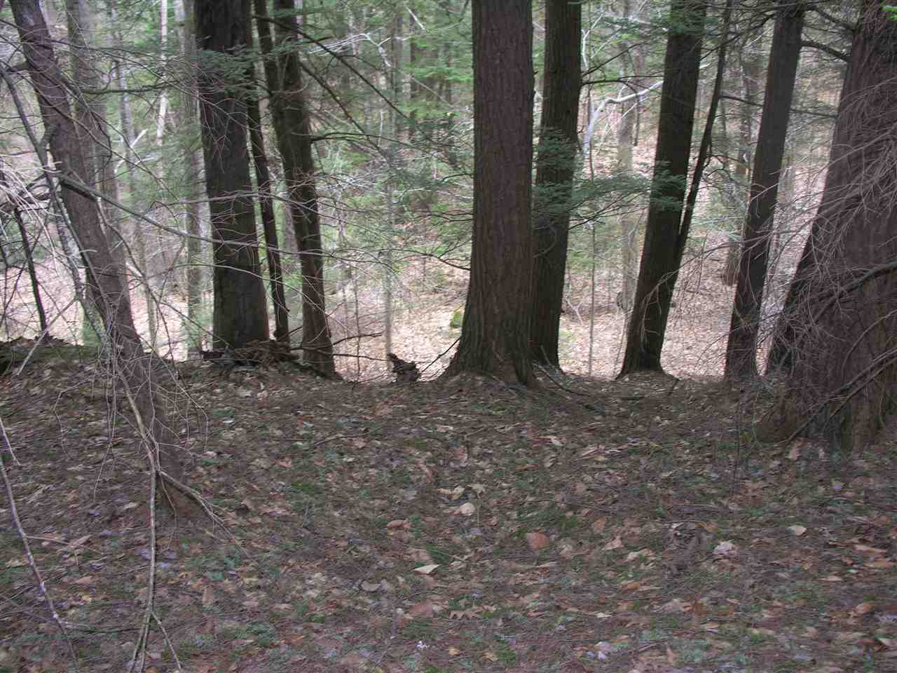 00 Halls Brook Road, Rumney, NH 03266