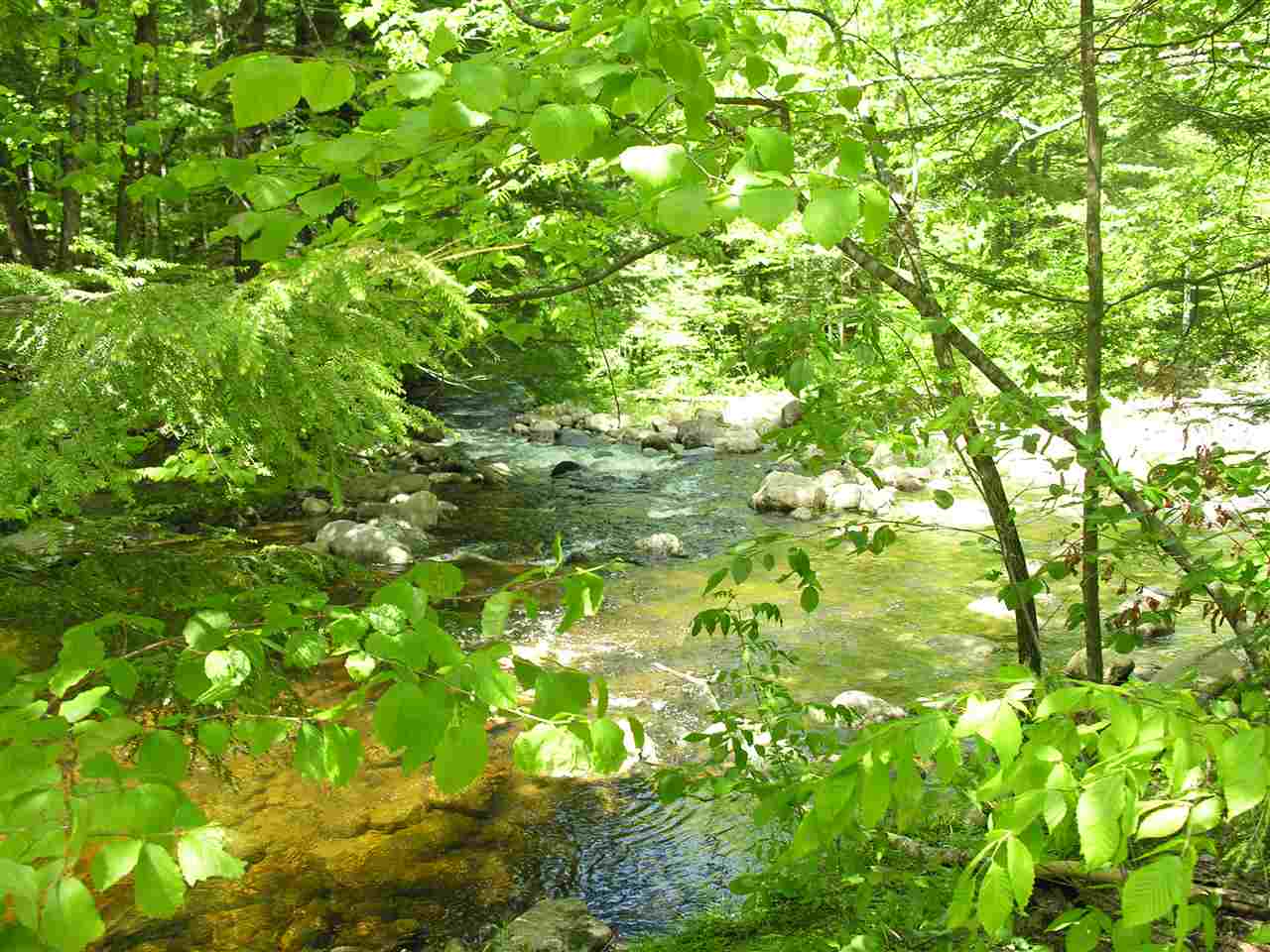 00 Halls Brook Road, Rumney, NH 03266