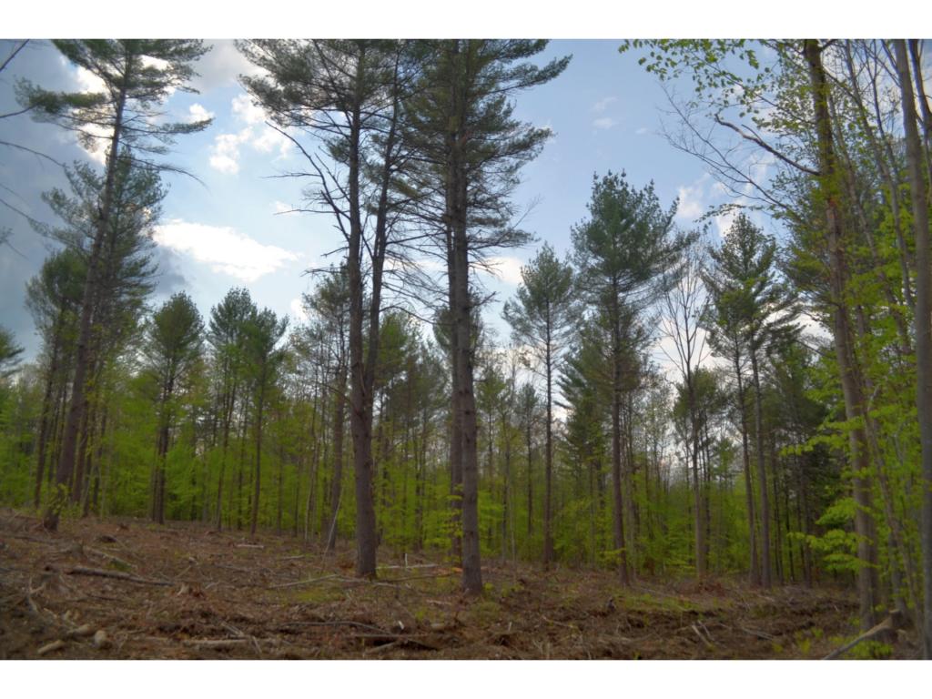 900 Fellows Lane, Salisbury, NH 03268