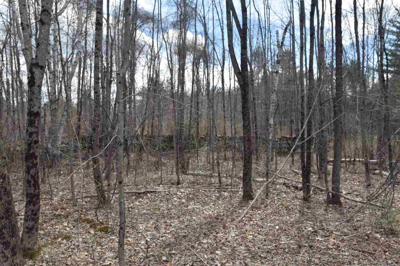 Roxbury Road, Sanbornton, NH 03269