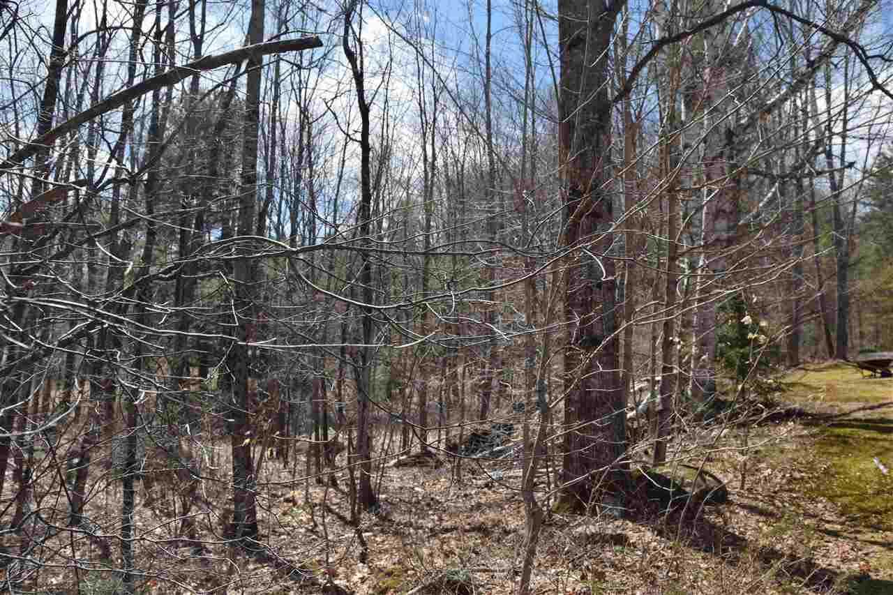 Roxbury Road, Sanbornton, NH 03269