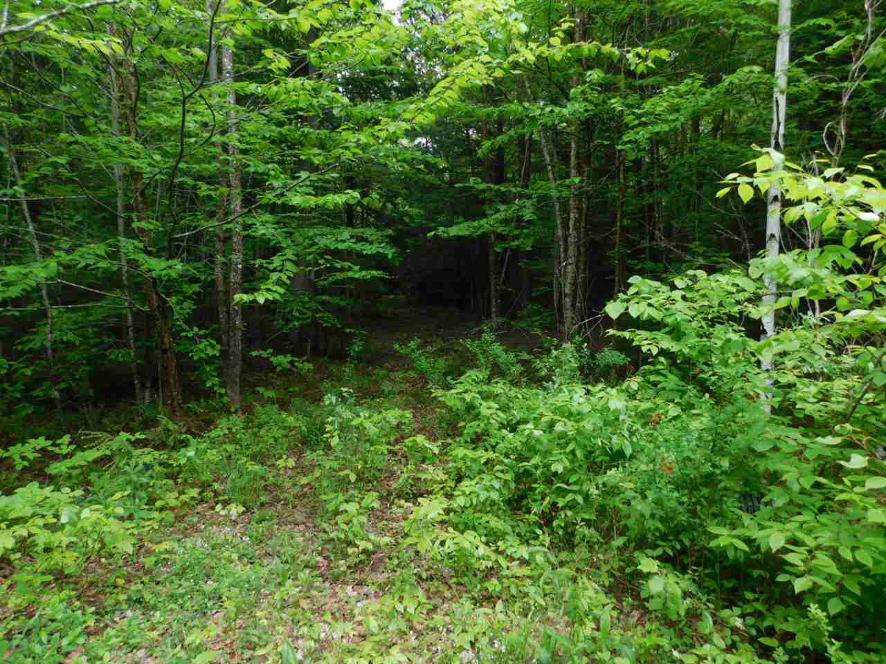 20 Eagle Nest Warren NH Loop, Warren, NH 03279