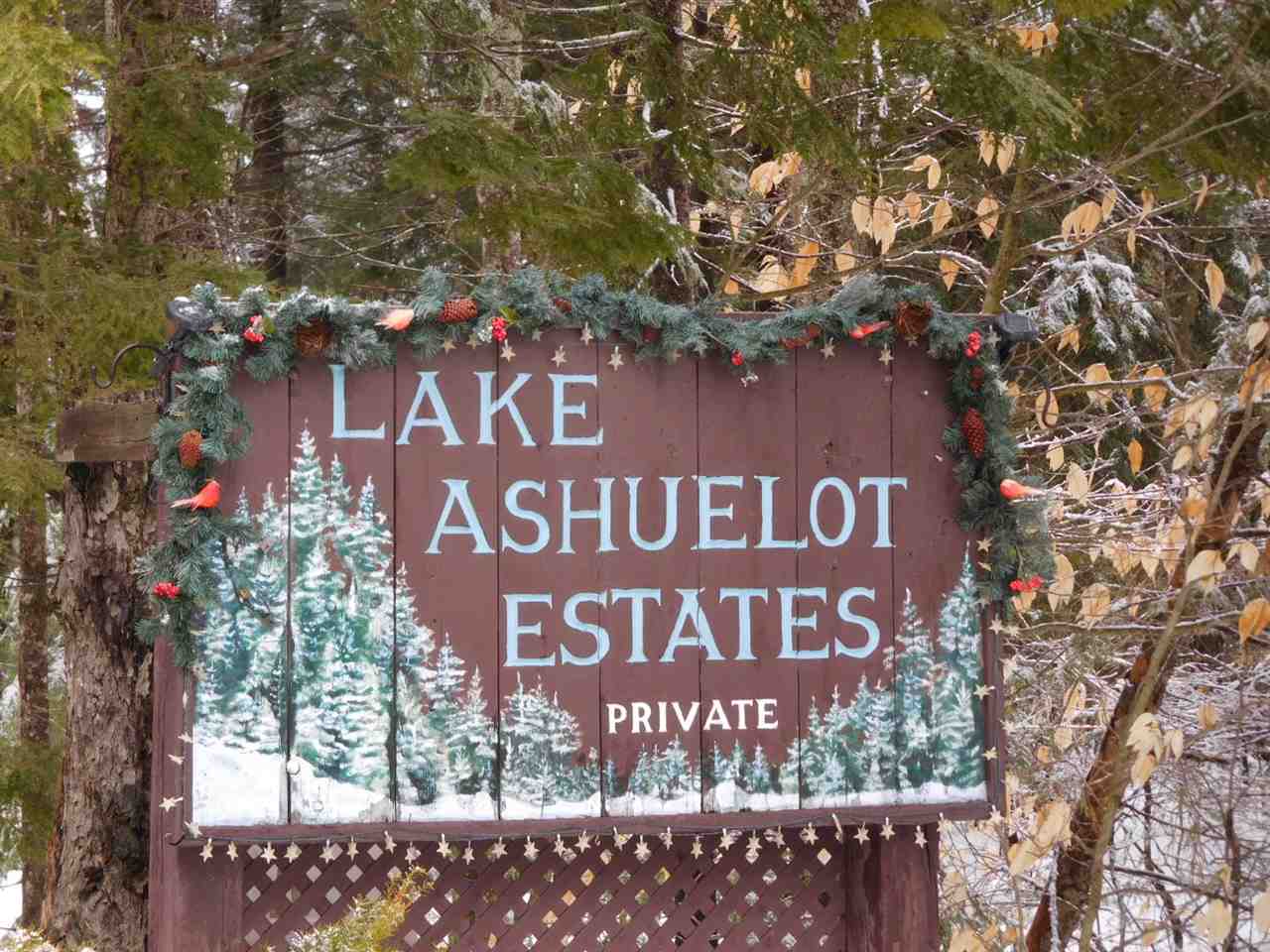 M14 L345 Coolidge, Washington, NH 03280