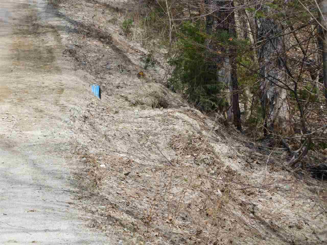 M14 L345 Coolidge, Washington, NH 03280