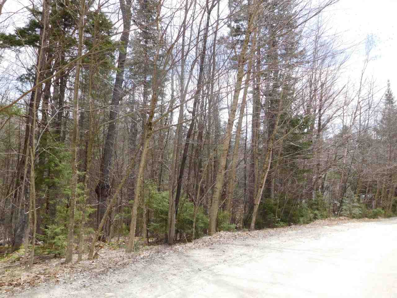 M14 L345 Coolidge, Washington, NH 03280