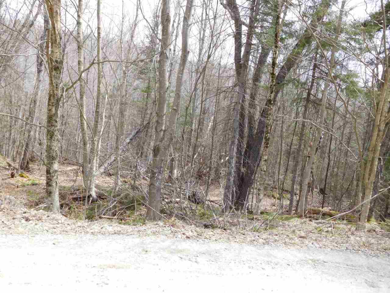 M14 L345 Coolidge, Washington, NH 03280