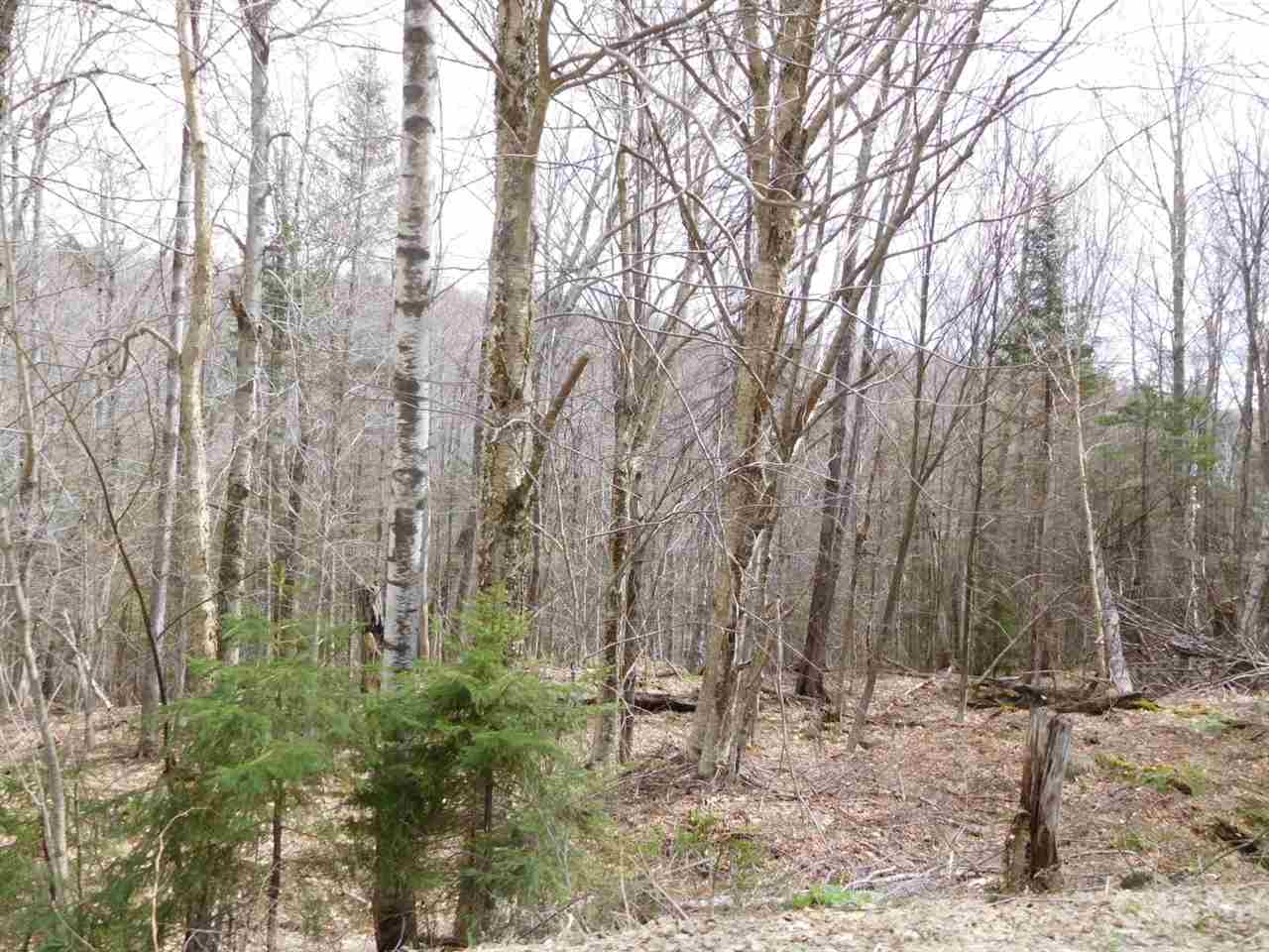 M14 L345 Coolidge, Washington, NH 03280