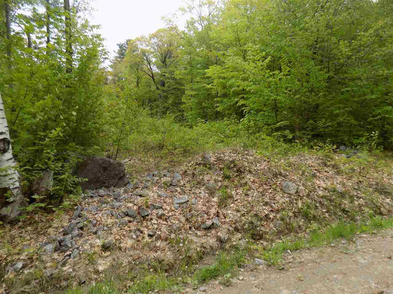451 Bailey Road, Washington, NH 03280