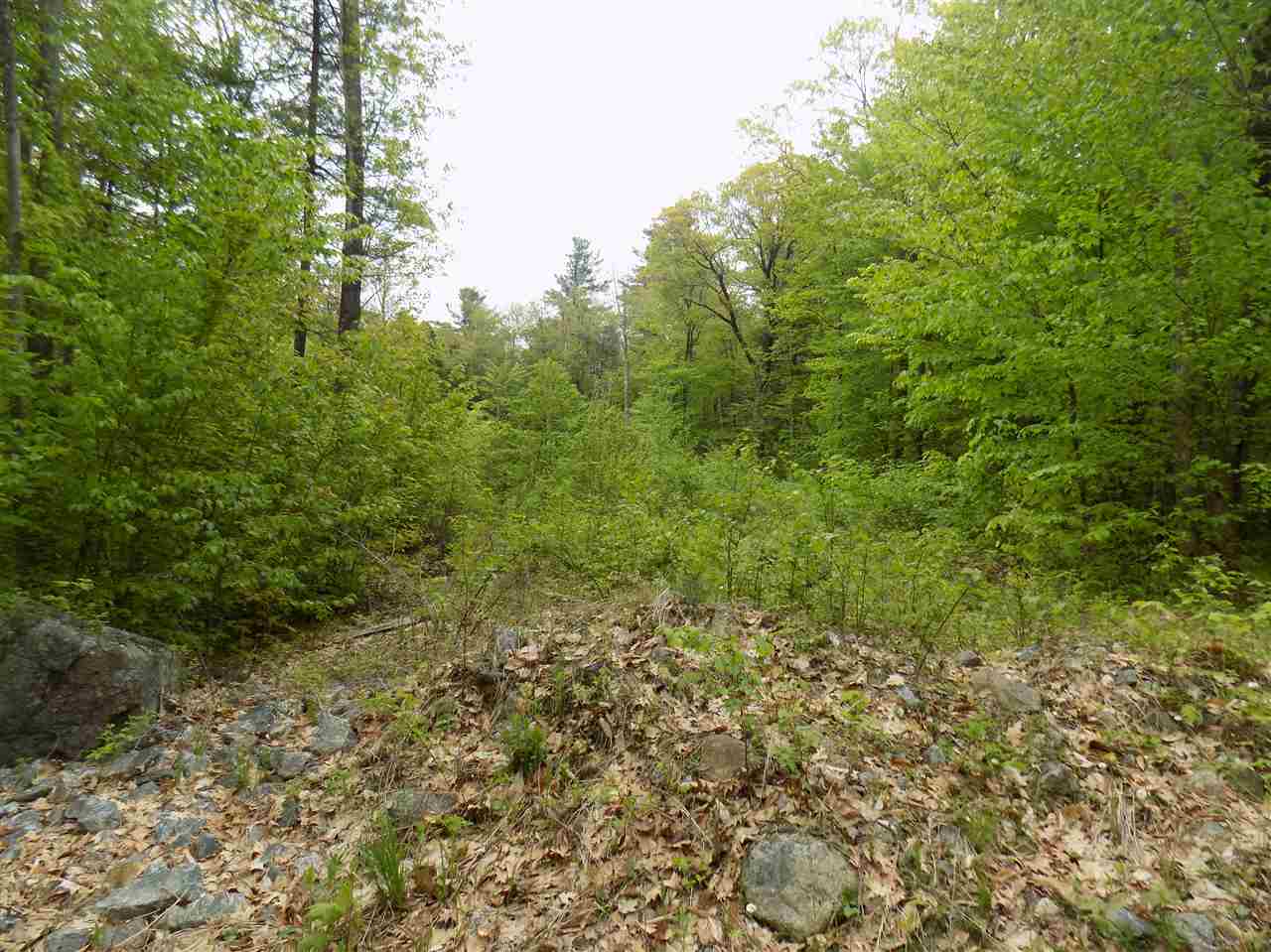 451 Bailey Road, Washington, NH 03280