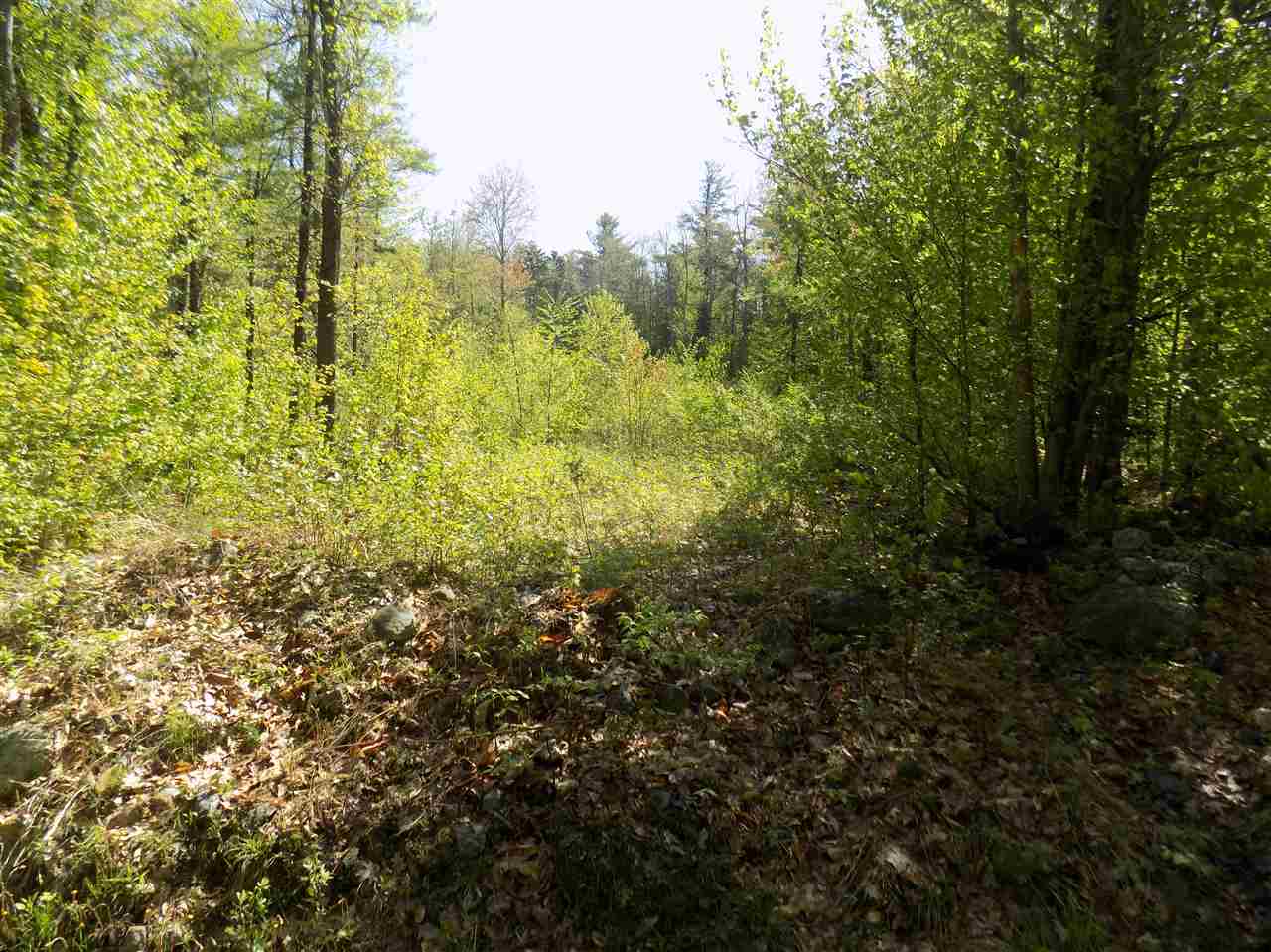 451 Bailey Road, Washington, NH 03280