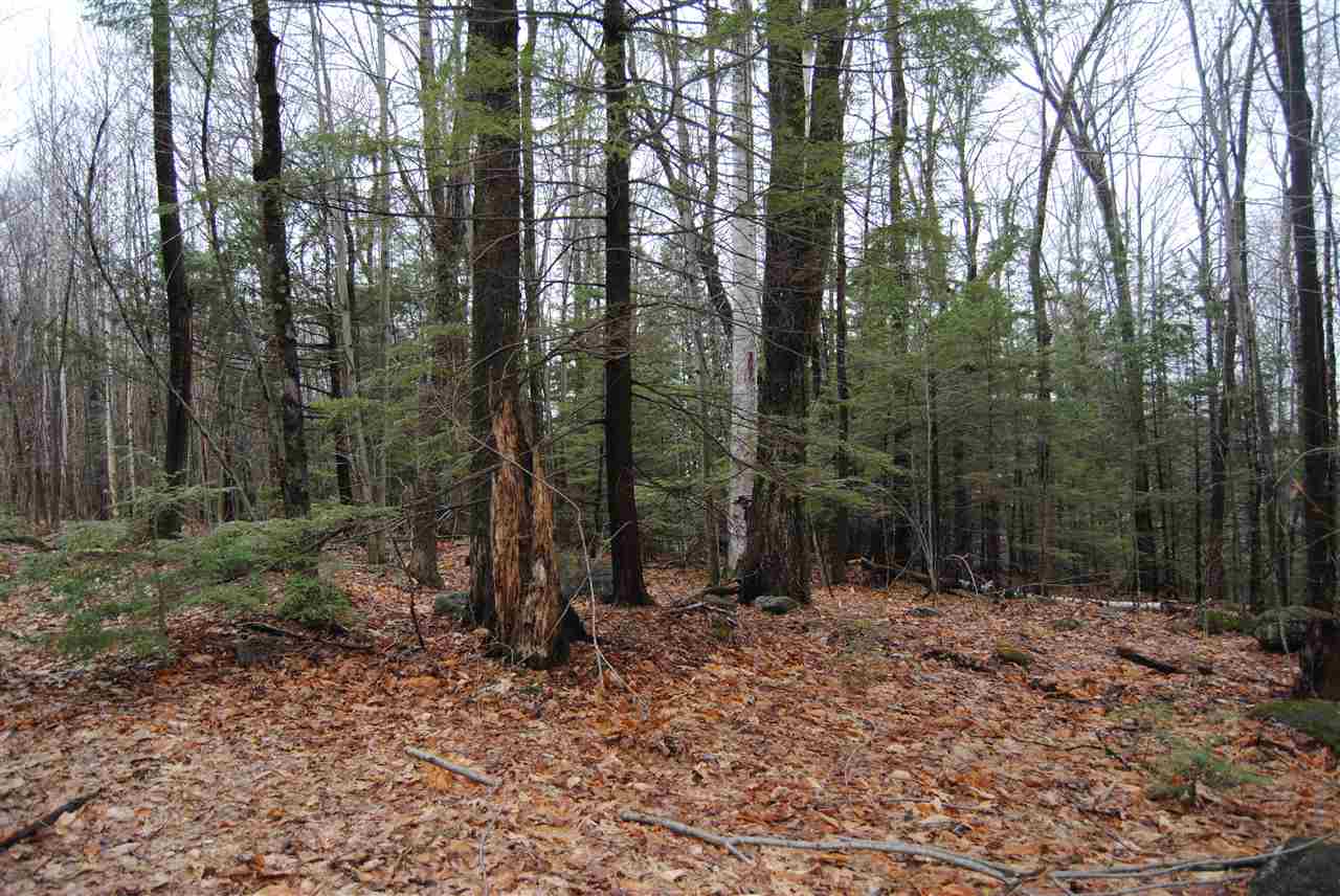 00 Dole School House Road, Washington, NH 03280