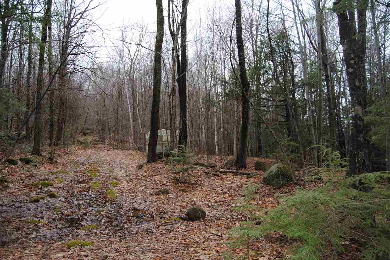 00 Dole School House Road, Washington, NH 03280