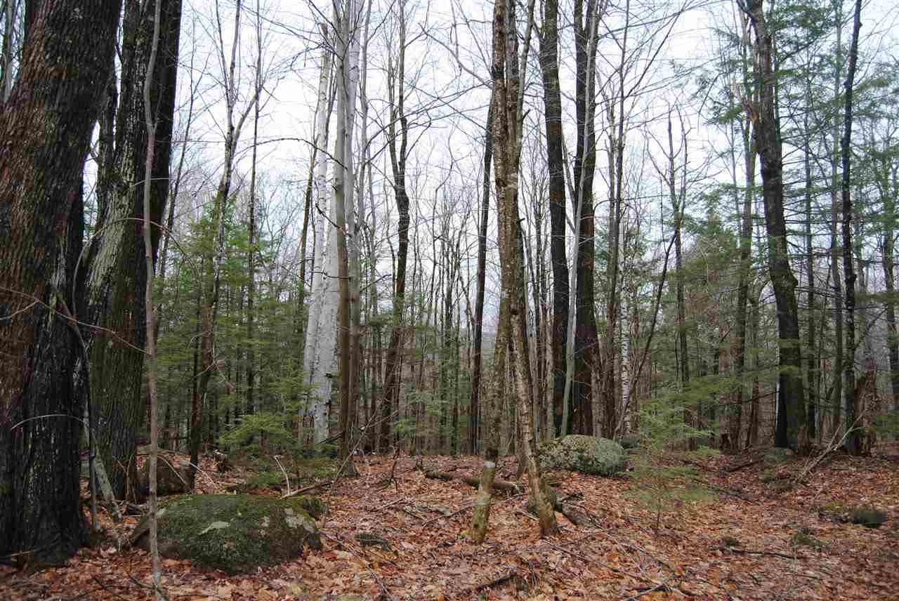 00 Dole School House Road, Washington, NH 03280