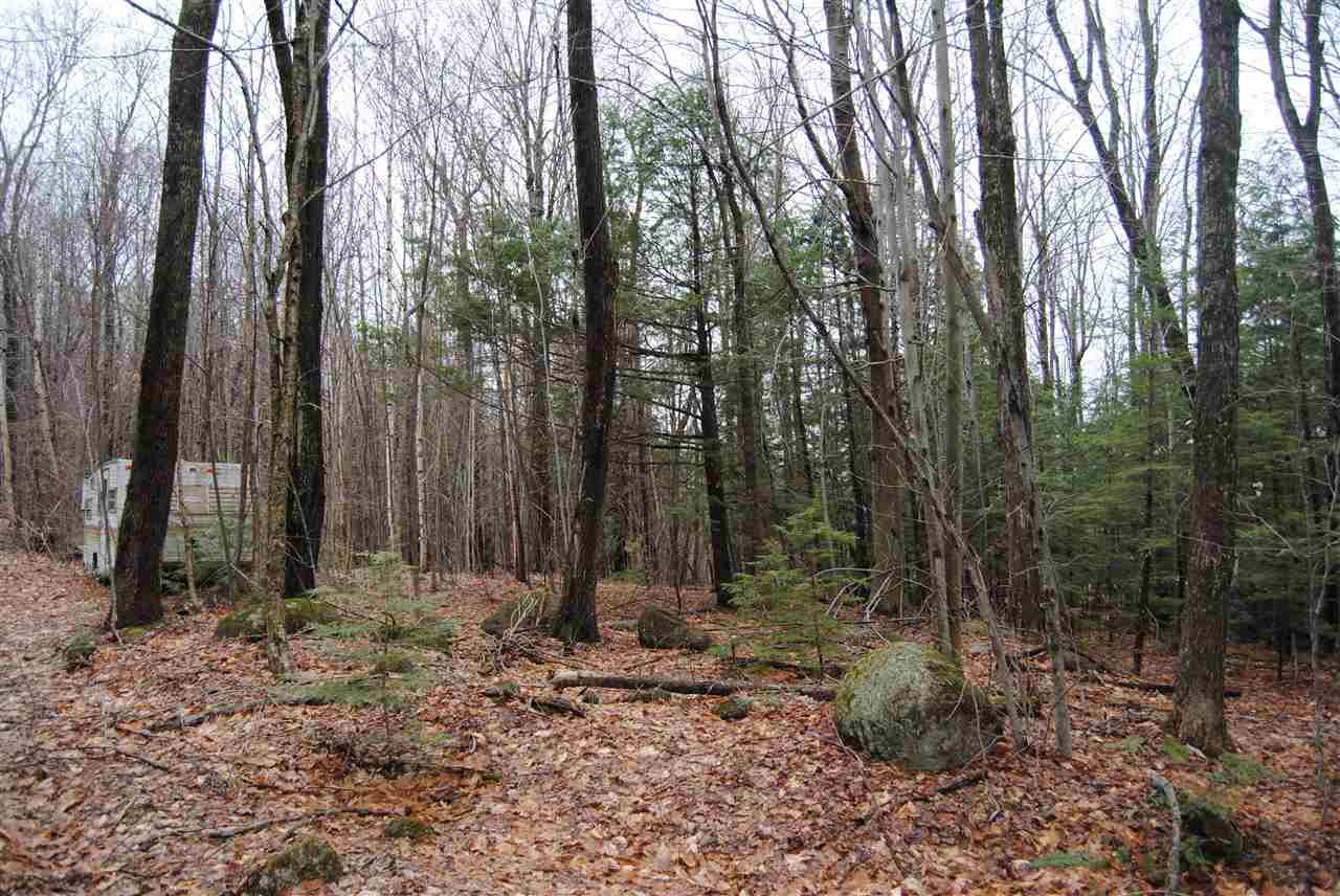 00 Dole School House Road, Washington, NH 03280