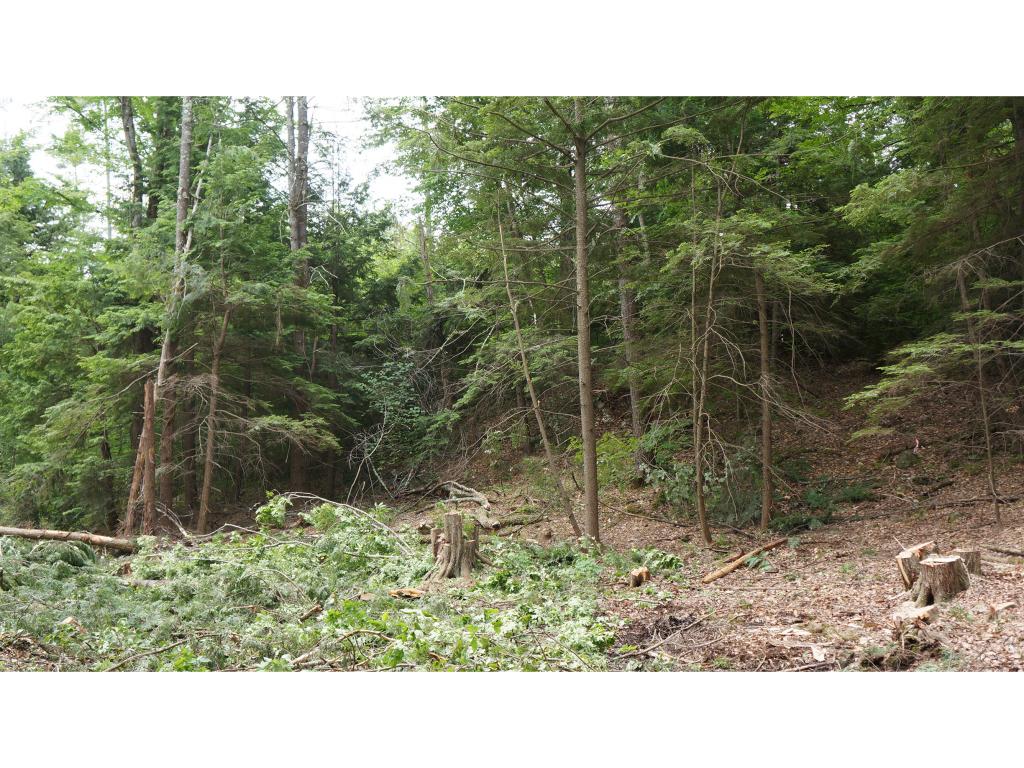 196 Colby Road, Weare, NH 03281