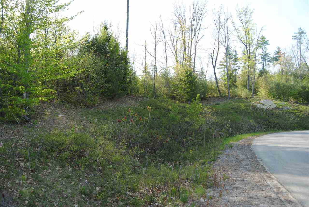 Lot 19 Elanor Way, Weare, NH 03281