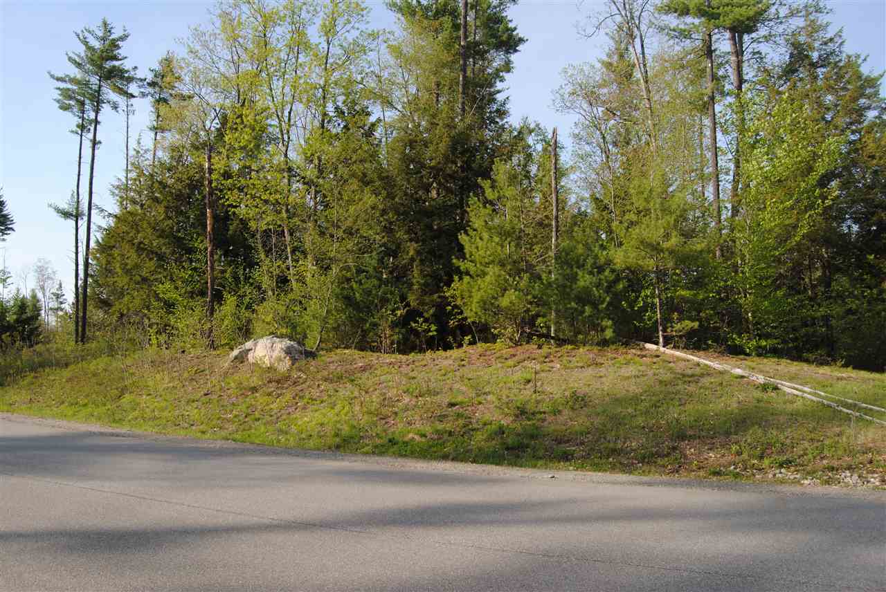 Lot 10 Elanor Way, Weare, NH 03281