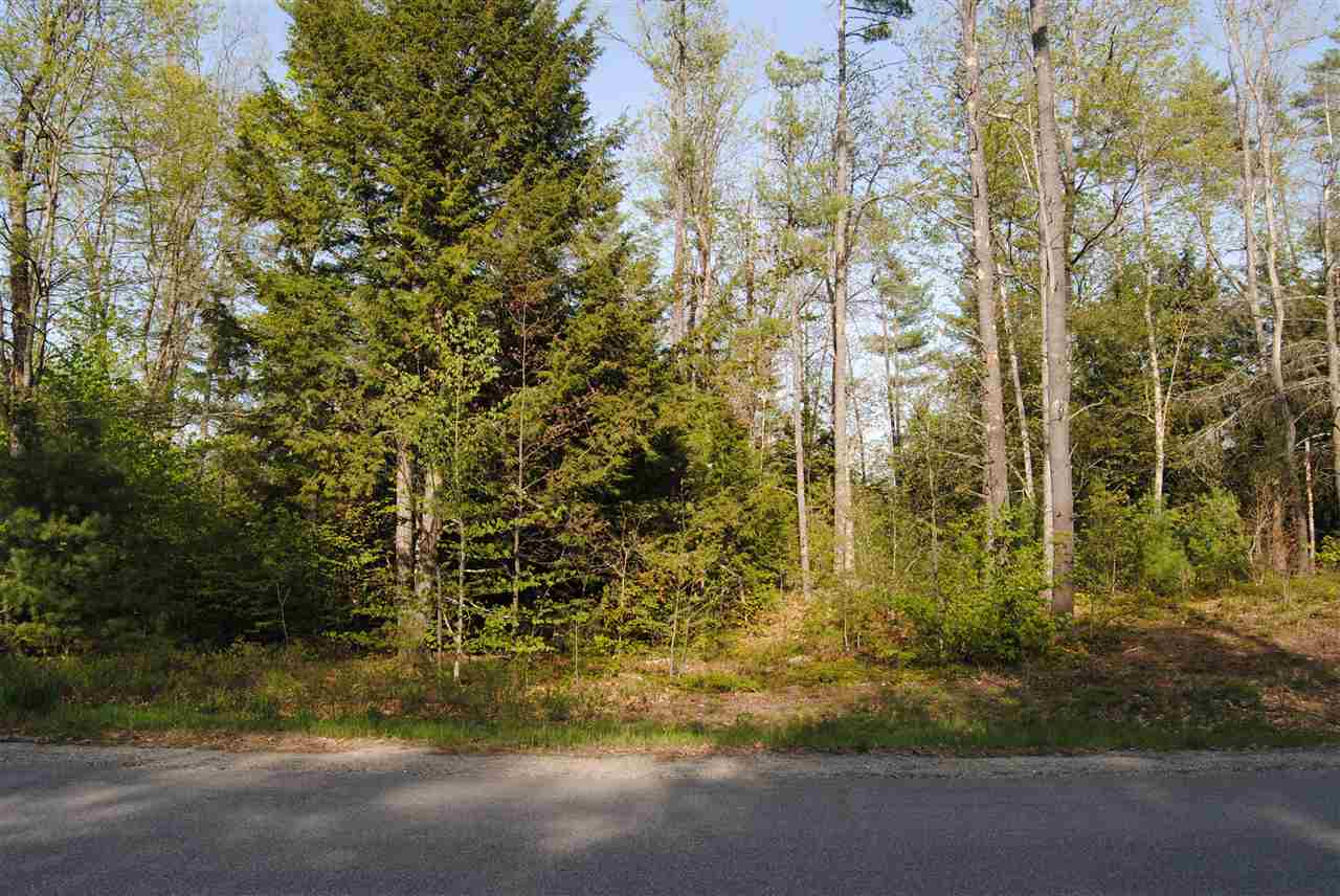 Lot 10 Elanor Way, Weare, NH 03281