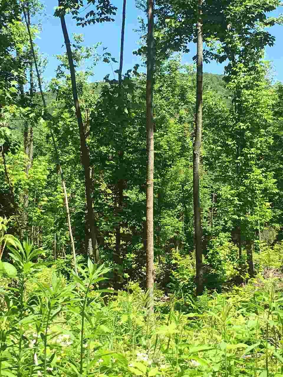 35 Philbrick Road, Wentworth, NH 03282