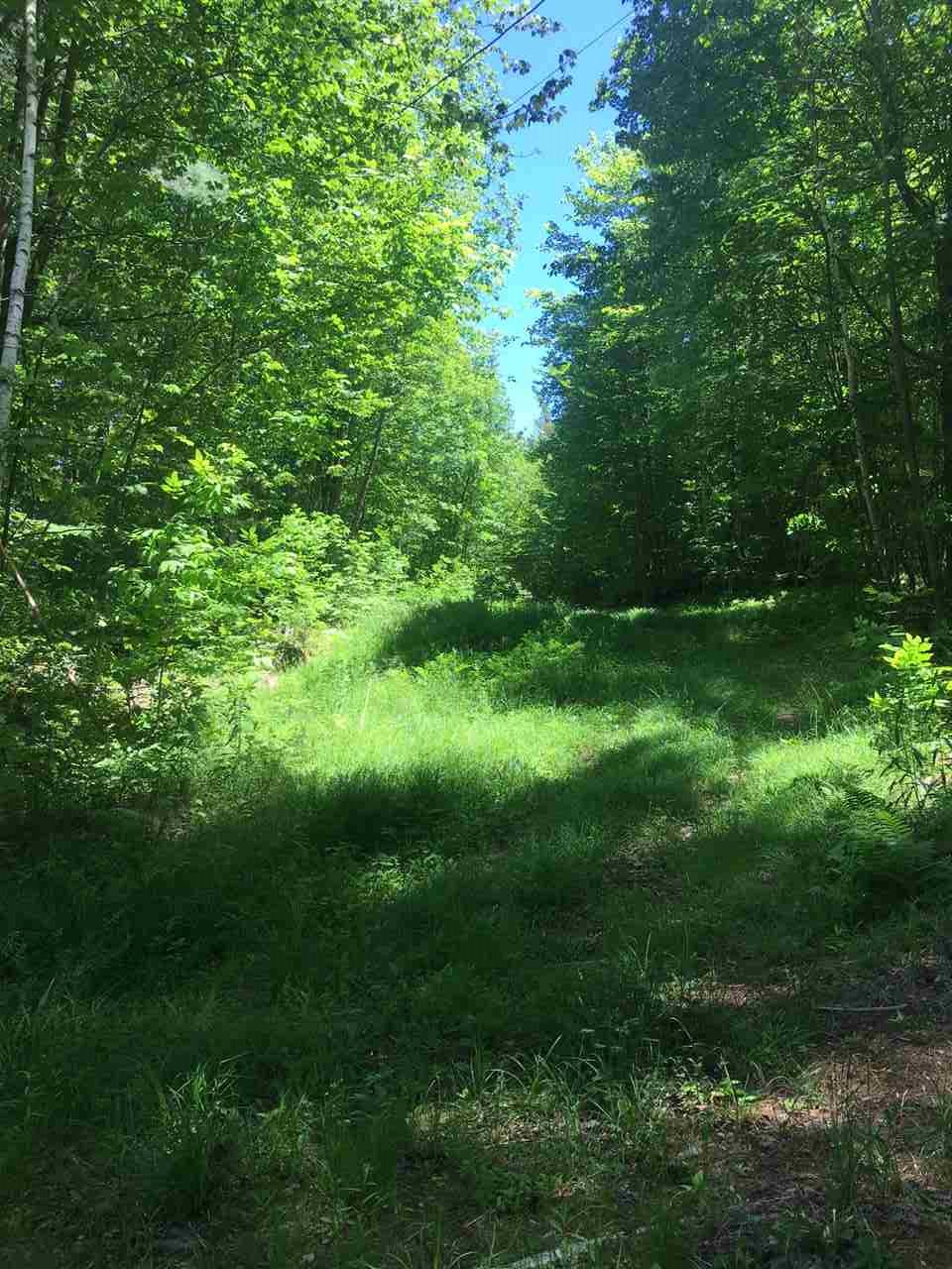 35 Philbrick Road, Wentworth, NH 03282