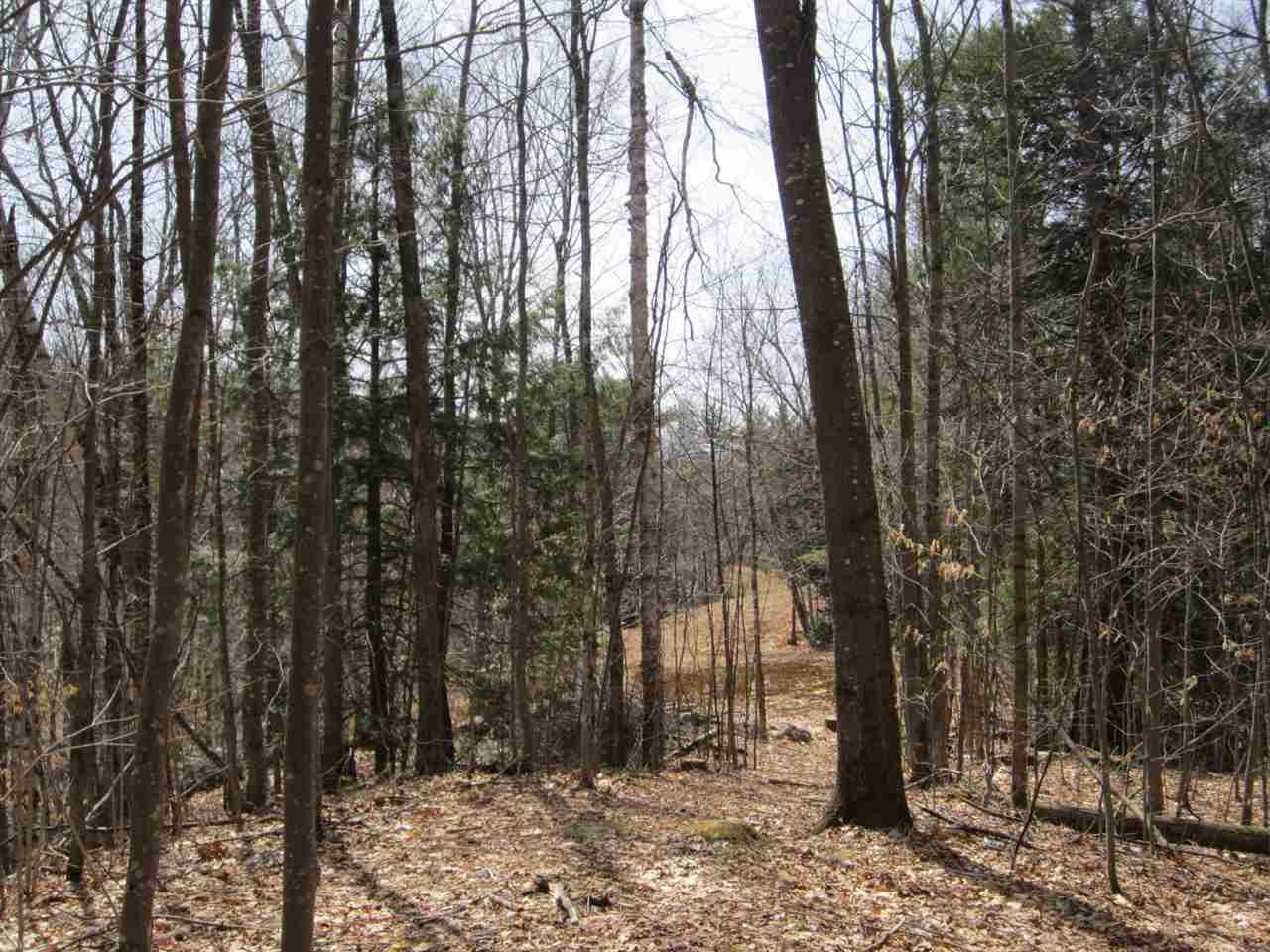 0 Shad Hill, Springfield, NH 03284