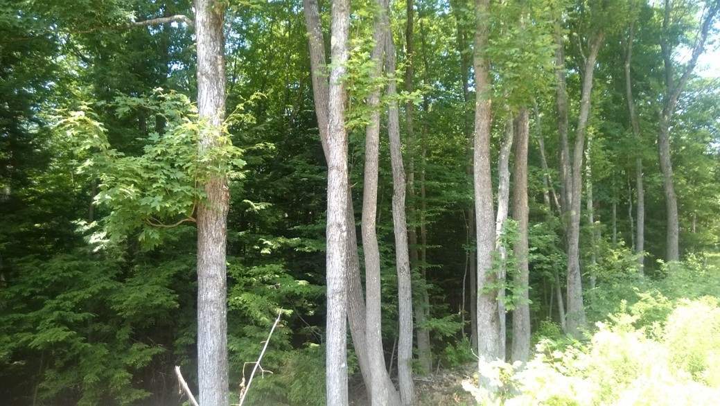 2 Doe Run, Thornton, NH 03285