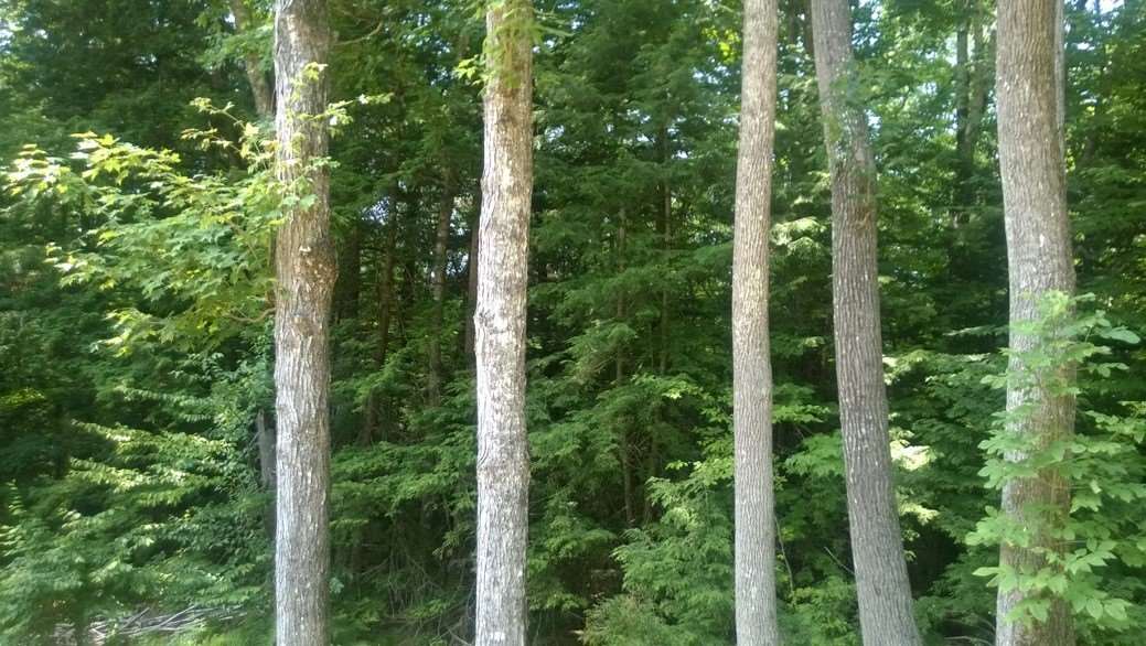 2 Doe Run, Thornton, NH 03285