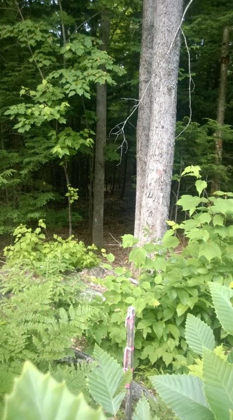 2 Doe Run, Thornton, NH 03285